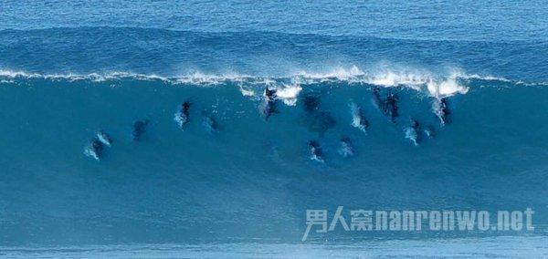 水果射击挑战